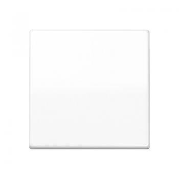 Jung Steuertaste Standard AS1700WW