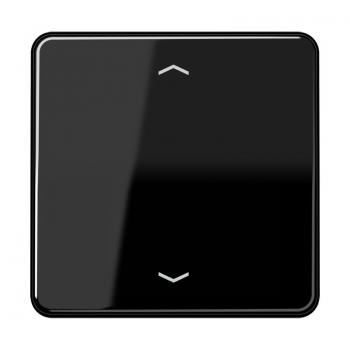 Jung CD500 Steuertaste Standard -Pfeile CD1700PSW