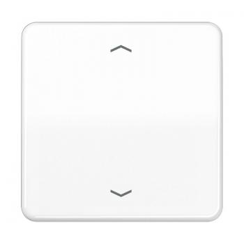 Jung CD500 Steuertaste Standard -Pfeile CD1700PWW