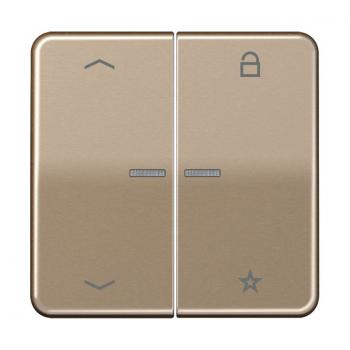 Jung CD500 Steuertaste Universal -Pfeile CD1701PGB