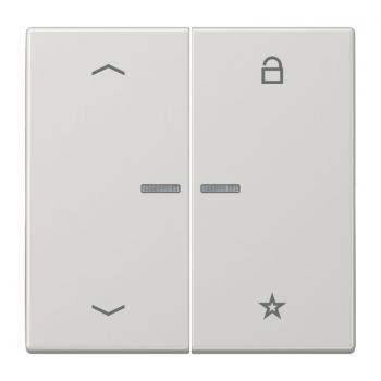 Jung Steuertaste Universal -Pfeile LS1701PLG