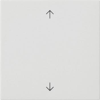 Gira Wippe 1f Pfeile System 55 Reinweiß m 538927