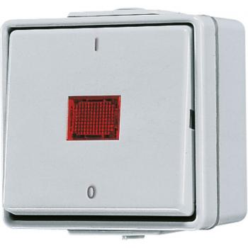 Jung WG 600 IP44 Kontrollschalter Aus 2-pol. 602KOW