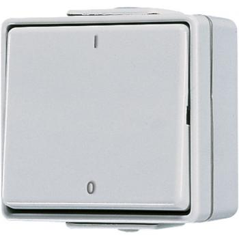 Jung WG 600 IP44 Schalter 2-pol. 602W