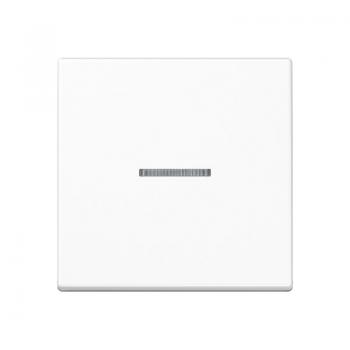 Jung A500 / AS500 Kontroll Wippe Alpinweiß A590KO5WW