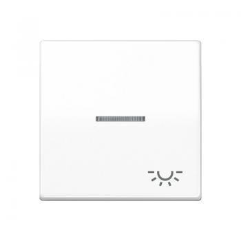 Jung AS500 Kontroll Wippe mit Symbol Licht Alpinweiß AS591KO5LWW