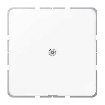 Jung CD500 Leitungsauslass Alpinweiß CD590AWW