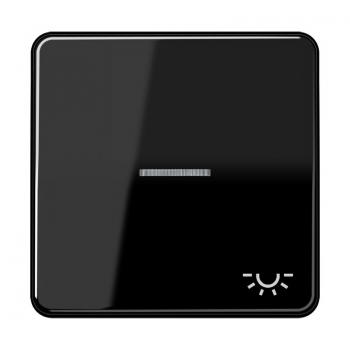 Jung CD500 Kontroll Wippe mit Symbol Licht Schwarz CD590KO5LSW