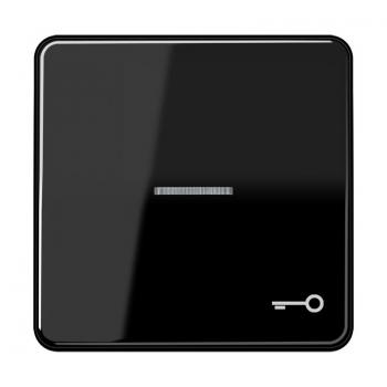 Jung CD500 Kontroll Wippe mit Symbol Tuer Schwarz CD590KO5TSW