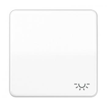 Jung CD500 Wippe mit Symbol Licht Alpinweiß CD590LWW