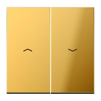 Jung LS990 Jalousie Wippe Gold GO2995P