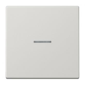 Jung LS990 Kontroll Wippe Lichtgrau LS990KO5LG