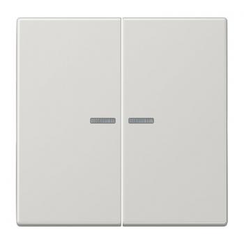 Jung LS990 Kontroll Serien Wippe Lichtgrau LS995KO5LG