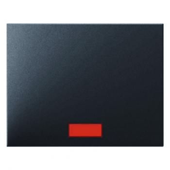 Berker K.1 Kontroll Wippe anthrazit, matt 14157006