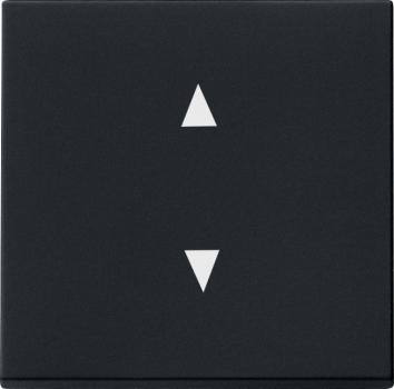 Gira Wippe Pfeile System 55 Schwarz m 8616005