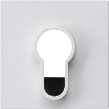 Gira Abd.Schlüsselschalter/-taster o.Aufdruck System 55 Reinweiß 866403