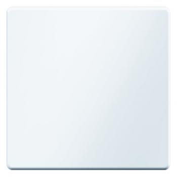 Berker Q.1/Q.3 Wippe polarweiß, samt 16206089