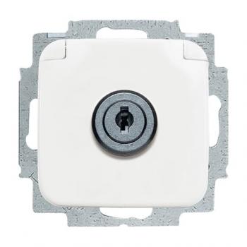 BJ SCHUKO® Steckdosen-Einsatz mit Klappdeckel und Schloss 20 EUKSL-214-101