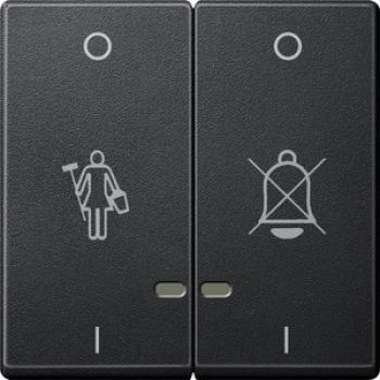 Merten Doppelwippe mit Kontrollfenster und Kennzeichnung für Hotelanwendungen, anthrazit, System M MEG3429-0414