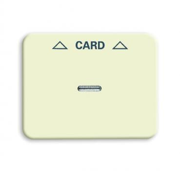 BJ Zentralscheibe Cardschalter 1792-22G-101