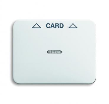 BJ Zentralscheibe Cardschalter 1792-24G-101