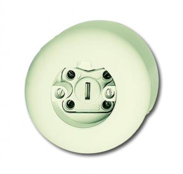 BJ Steckdose Rund  2365 JW