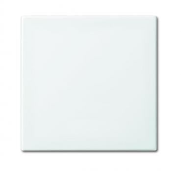 BJ Wippe anschraubbar (Halteelement) 2546-914