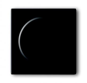 BJ Zentralscheibe Dimmer future linear 6540-81-102-510 6540-81-102-510