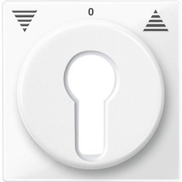 Merten System M Abdeckung SchlŸsselschalter polarwei§ gl_nzend 319419