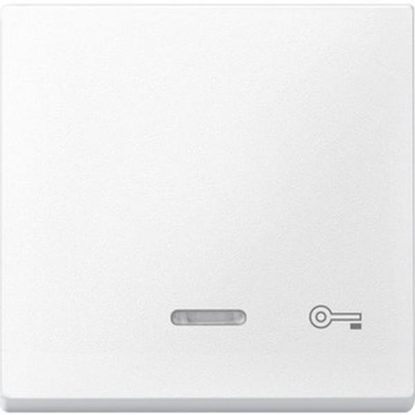 Merten System M Kontroll Wippe+Symboll SchlŸssel polarwei§ matt 430719