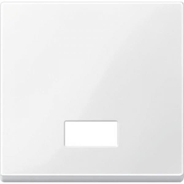 Merten System M Kontroll Wippe polarwei§ gl_nzend 432819