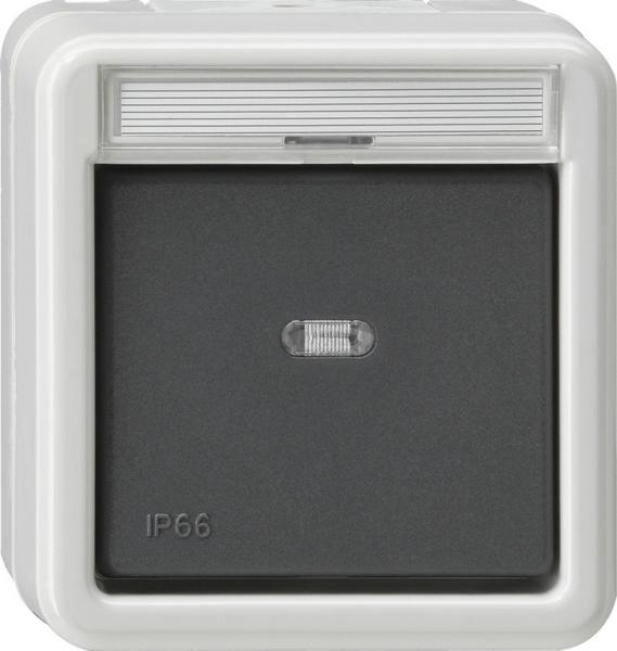 Gira IP44 WD Wippschalter/ Wechselschalter Aufputz Grau 010631