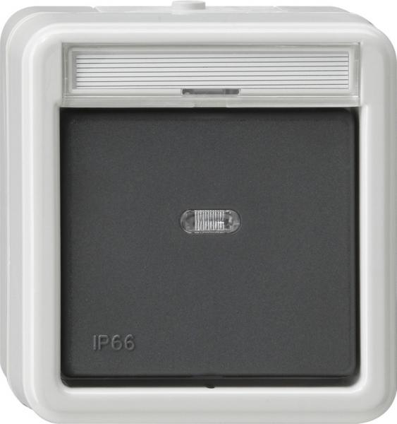 Gira IP44 WD Wippschalter Aus 2pol Kontroll Aufputz Grau 011231