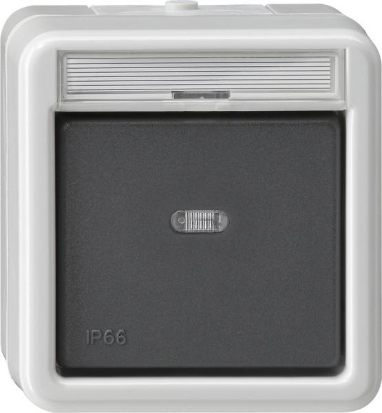 Gira IP44 WD Wipptaster mit Meldekontakt Aufputz Grau 015231