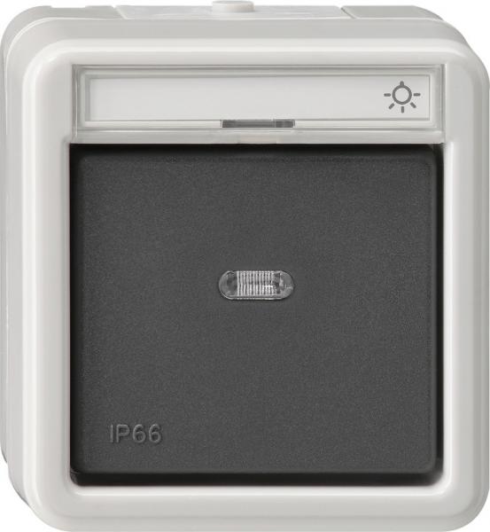 Gira IP44 WD Wipptaster Wechsler Aufputz Grau 015631