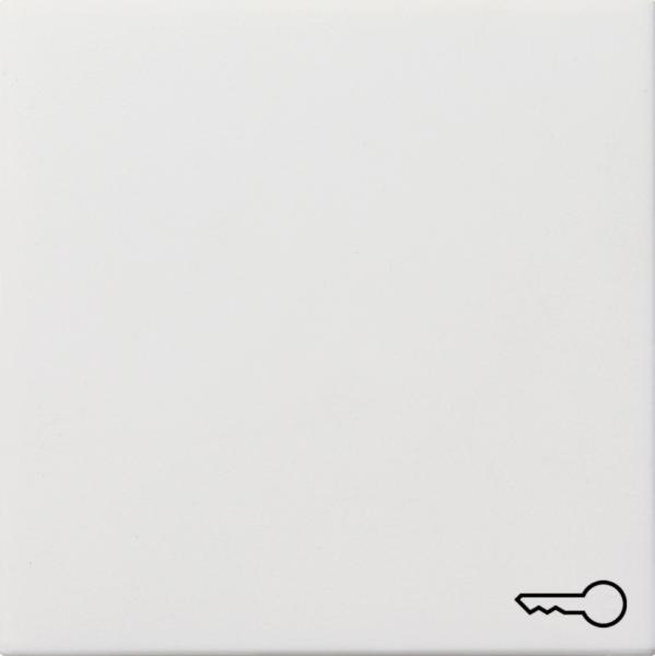 Gira Wippe Symbol SchlŸssel Fl_chenschalter Reinwei§ 0287112