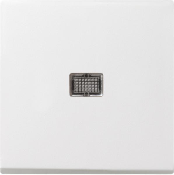 Gira System 55 Kontroll-Wippe gro§ Reinwei§ gl_nzend 029803