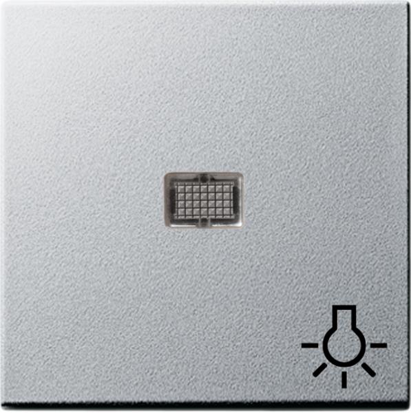 Gira System 55 Kontroll Wippe+Symbol Licht Farbe Alu 063026