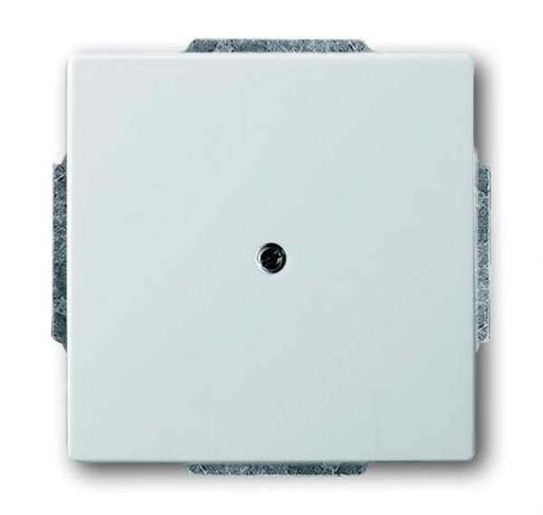 B+J pur edelstahl, Blindzentralscheibe 1742-866