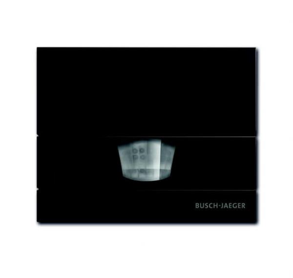 B+J Busch-W_chter¨ 110 MasterLINE, braun 6855 AGM-201