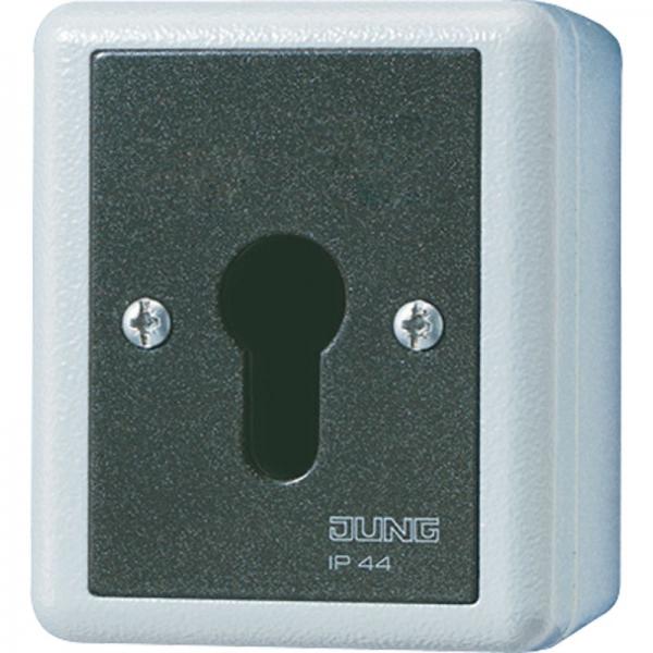 Jung WG 800 IP44 Schluesselschalter 806.28G
