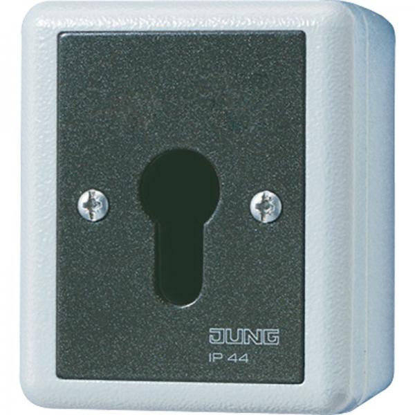 Jung WG 800 IP44 Schluesselschalter 833.18G
