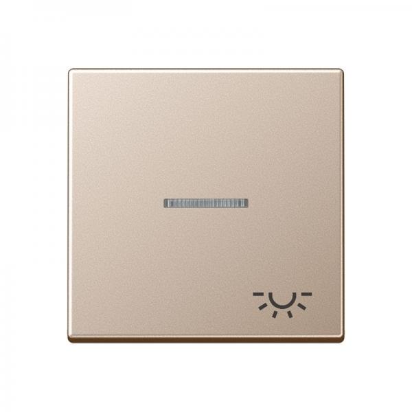 Jung A500 Kontroll Wippe mit Symbol Licht Champagner A590KO5LCH