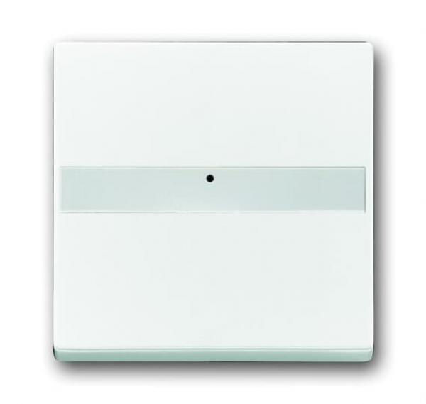 B+J future linear, Kontroll Wippe mit Beschriftungsfeld, studioweiß 1764NLI-84
