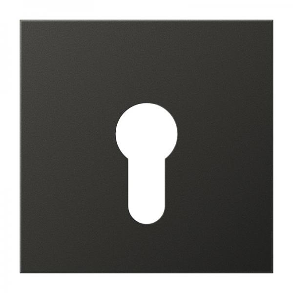 Jung LS990 Abdeckung Schluesselschalter Anthrazit AL2925AN