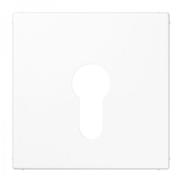 Jung LS990 Abdeckung Schluesselschalter Alpinweiß LS925WW