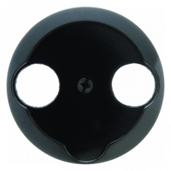 Berker 1930/Glas/Palazzo Abdeckung Antennen-Steckdose 2Loch schwarz, glänzend 103921