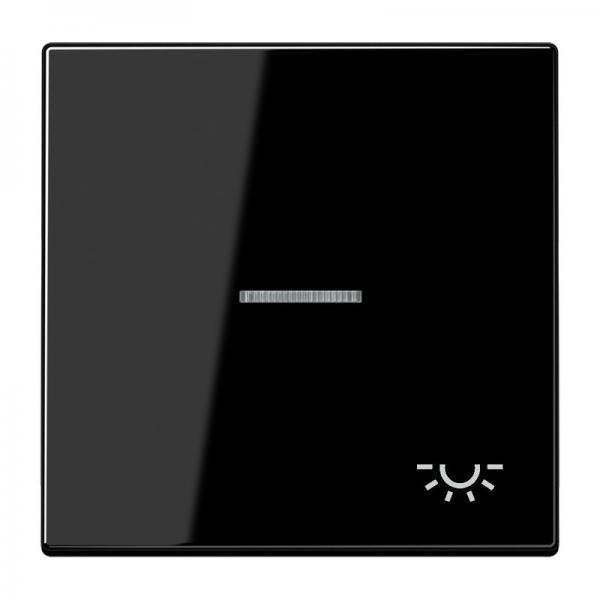 Jung LS990 Kontroll Wippe mit Symbol Licht Schwarz LS990KO5LSW