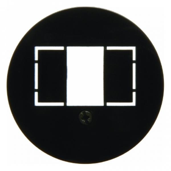 Berker 1930/Glas/Palazzo TAE-Abdeckung schwarz, glänzend 104001