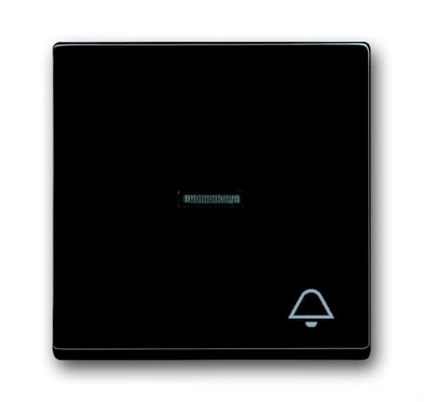 B+J carat®, Wippe mit Symbol "Klingel", anthrazit 1789 KI-81